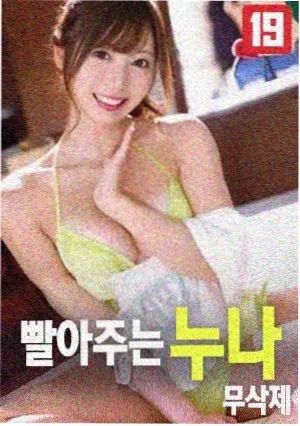 狐狸与我