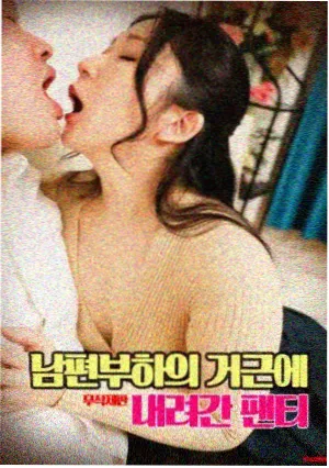 狐狸与我