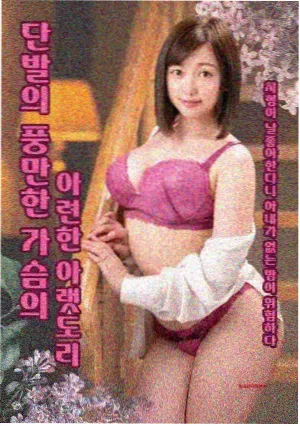 面包和汤和猫咪好天气